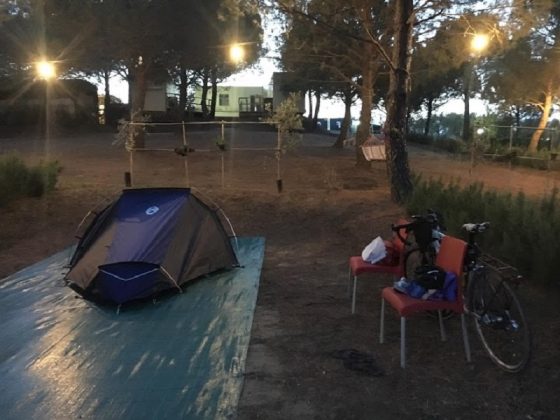 poggio ai pini